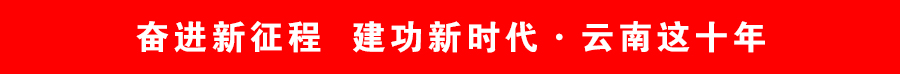 奋进新征程 建功新时代 · 云南这十年 奋进新征程 建功新时代 · 云南这十年