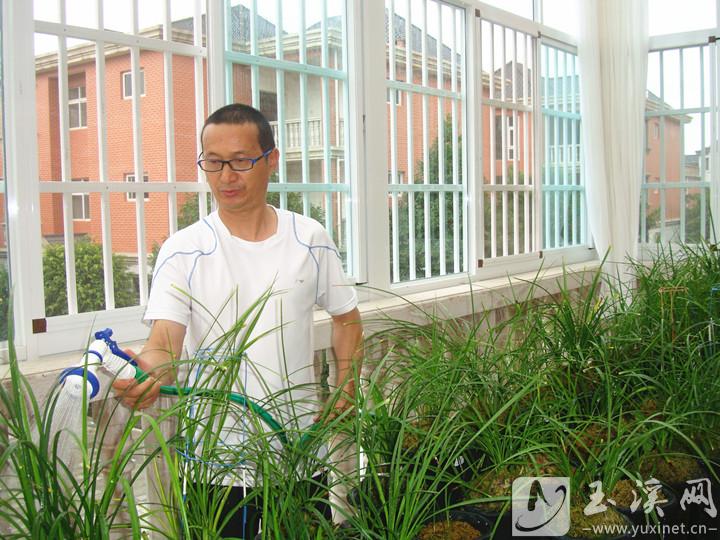 李琳和他的兰花。