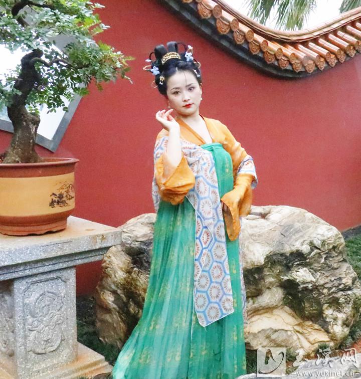 杨帆