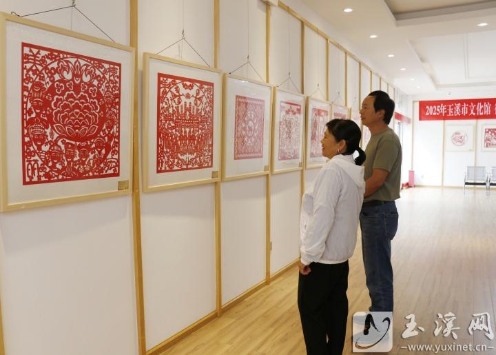 展览吸引市民观看。