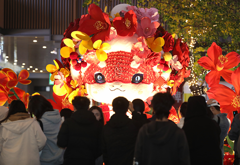 爆火！“簪花小蛇”亮相玉溪