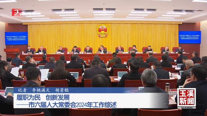 履职为民 创新发展——玉溪市六届人大常委会2024年工作综述