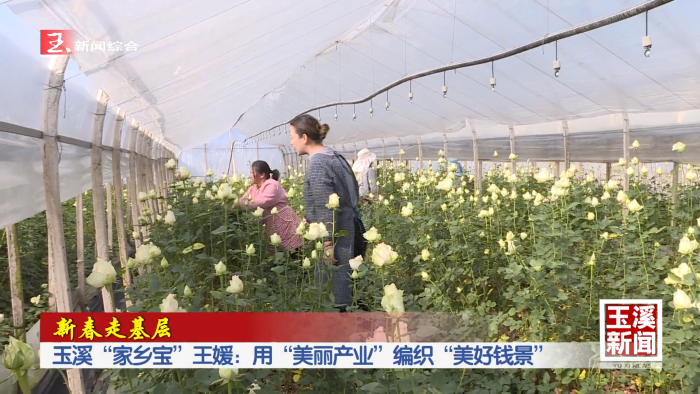 新春走基层丨玉溪“家乡宝”王媛：用“美丽产业”编织“美好钱景”