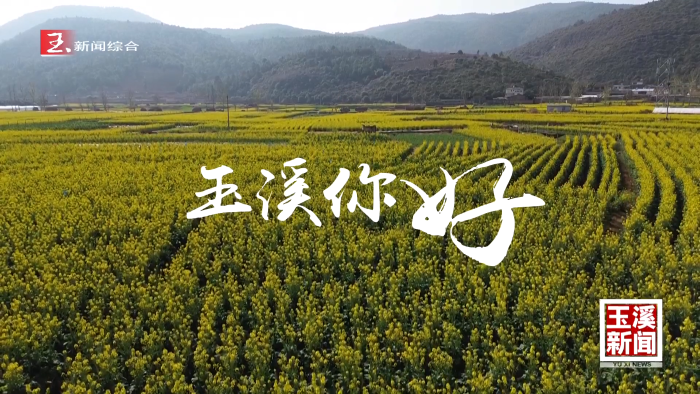 玉溪你好丨花开锦绣 春色如画