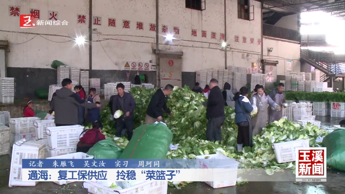 新春走基层丨通海：复工保供应 拎稳“菜篮子”