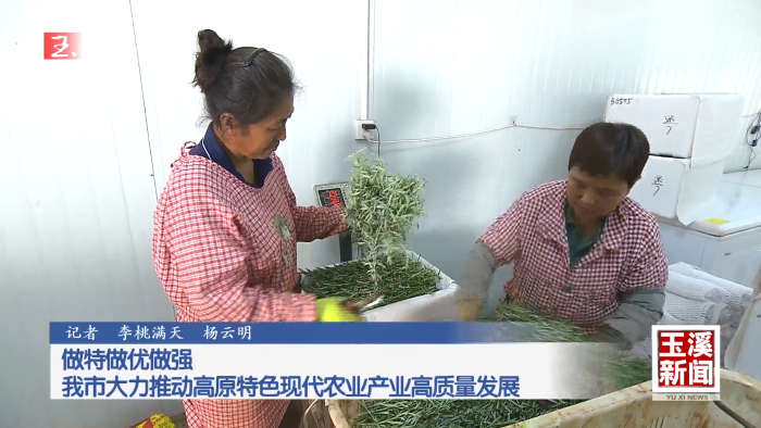 做特做优做强 玉溪市大力推动高原特色现代农业产业高质量发展