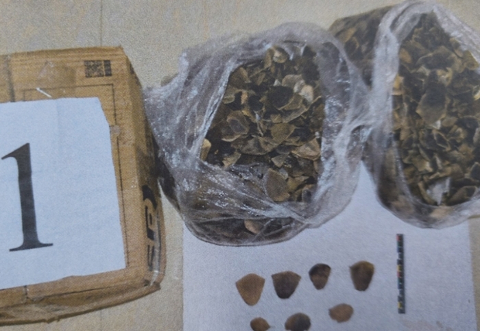 涉案金额4368万余元！特大穿山甲甲片走私案在易门公开审理