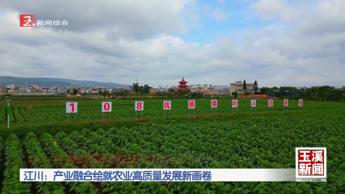 答好五问促增收｜江川：产业融合绘就农业高质量发展新画卷