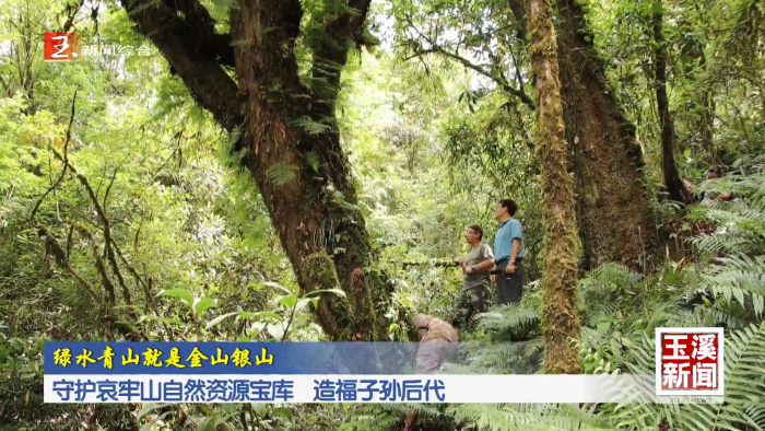 绿水青山就是金山银山丨守护哀牢山自然资源宝库 造福子孙后代