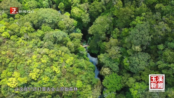 秋日邂逅哀牢山 “天然氧吧”引客来