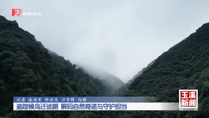 追踪候鸟迁徙路 解码自然奇迹与守护担当