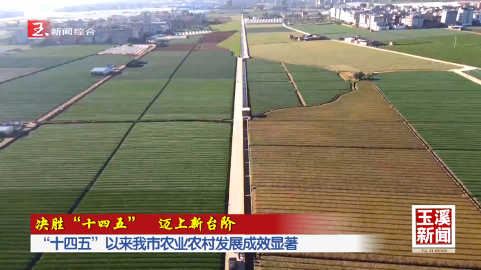 决胜“十四五” 迈上新台阶｜“十四五”以来玉溪市农业农村发展成效显著