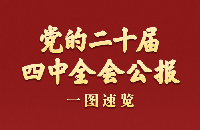 学习新语｜党的二十届四中全会公报一图速览