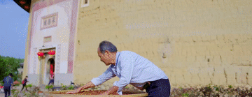 105012025111200012367.gif
