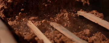 105012025111200012379.gif