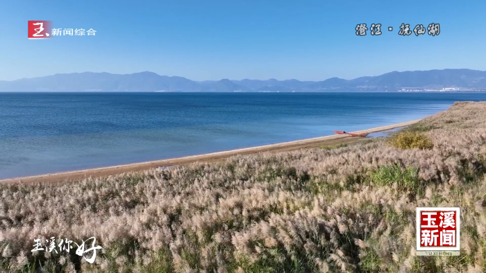 玉溪你好 丨冬日到抚仙湖邂逅一场蓝与暖交织的绝美“奇遇”