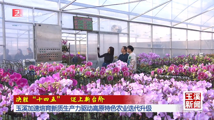 决胜“十四五” 迈上新台阶丨玉溪加速培育新质生产力驱动高原特色农业迭代升级