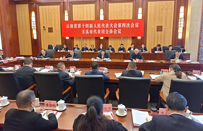 来自省两会的报道丨玉溪市代表团举行全体会议