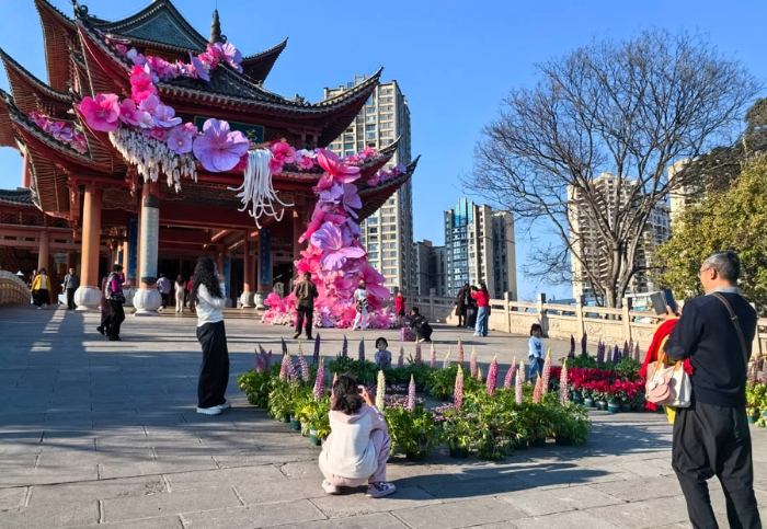 新春走基层丨红塔区：“玉见米线·鲜花集市”引客来