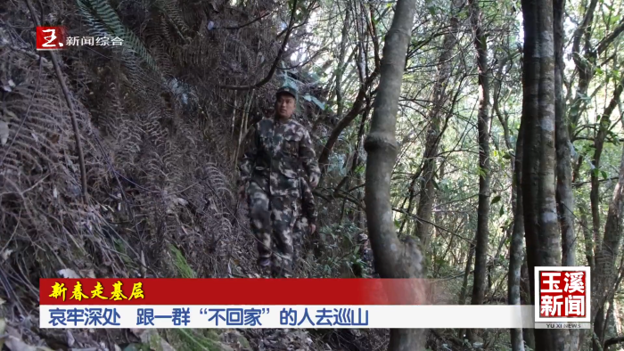哀牢深处 跟一群“不回家”的人去巡山