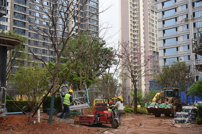 图片新闻｜红塔区邦泰·臻境项目建设高效推进