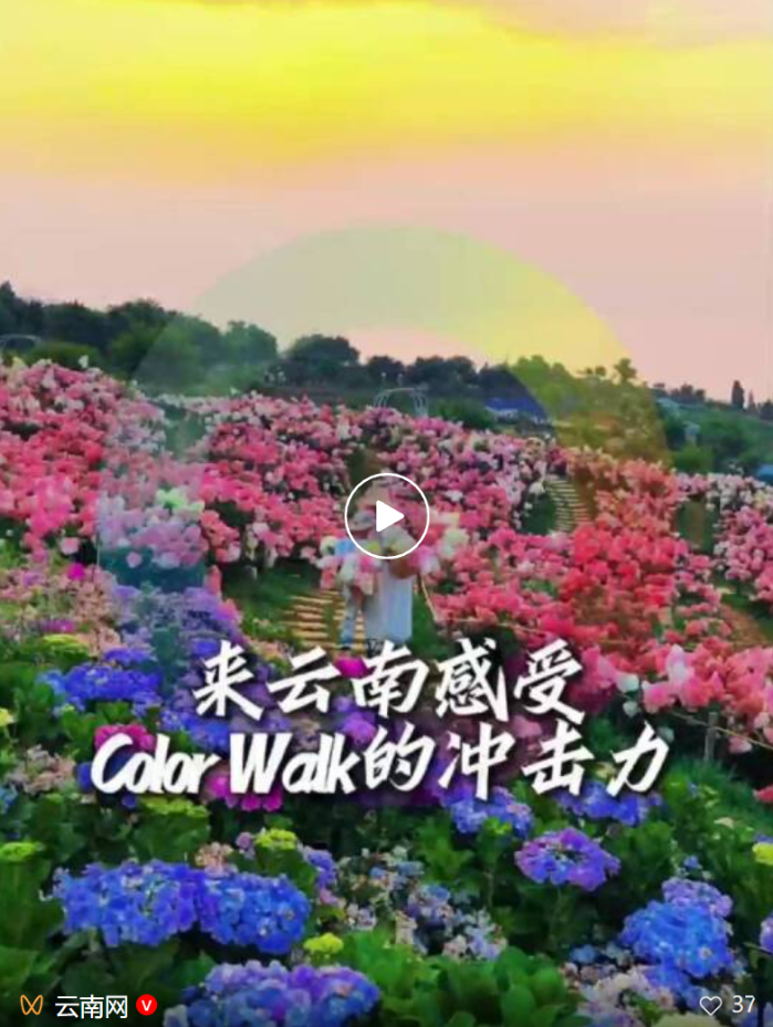 今天，给你点颜色看看！