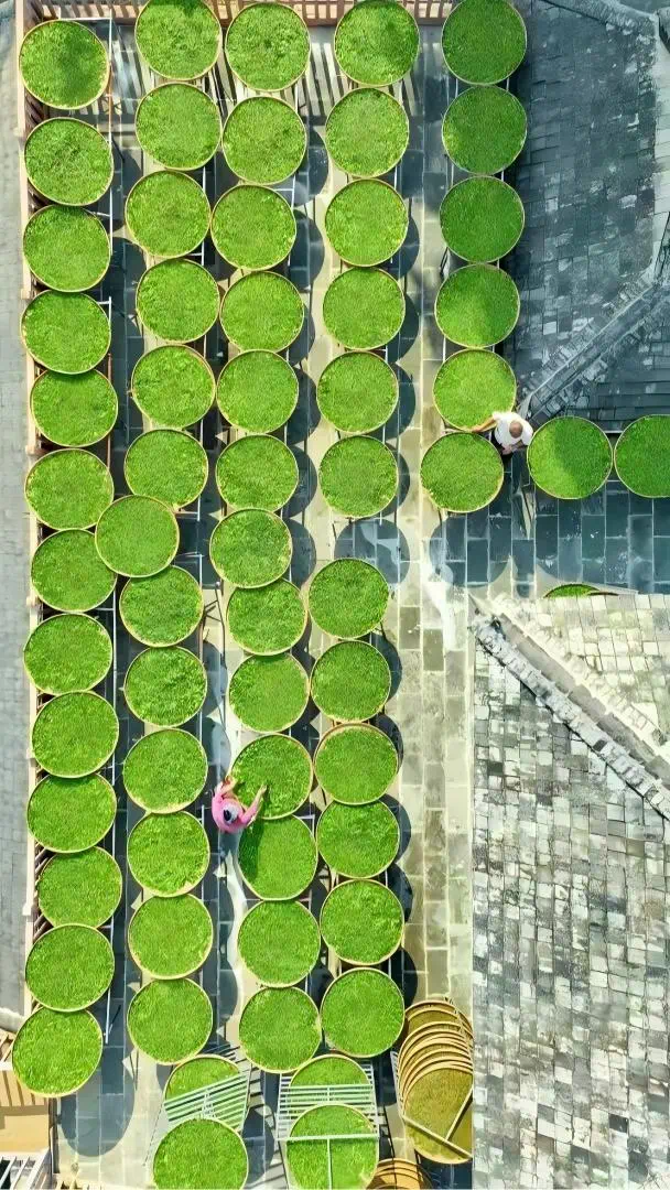 微信图片_20260331173942_20_436(1).jpg