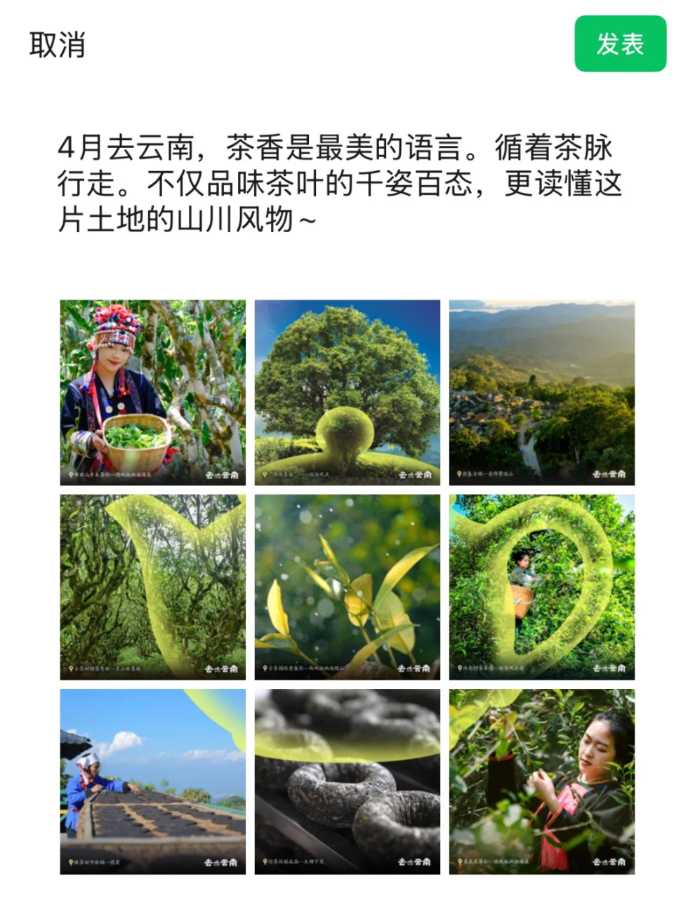 微信图片_20260331175137_1109_2.jpg