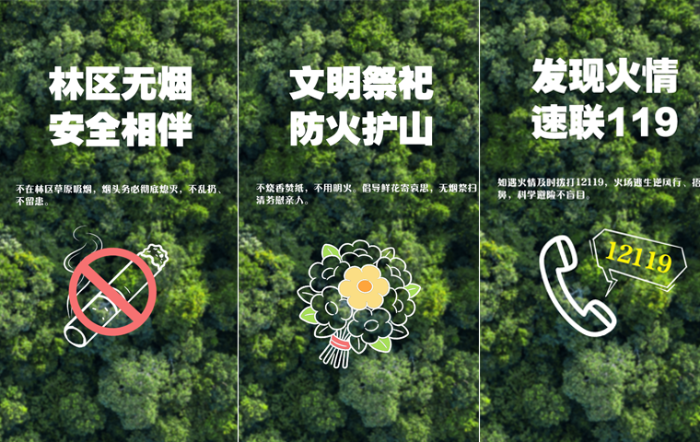 公益海报｜护林防火，警钟长鸣