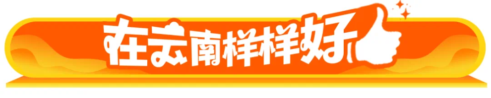 一口喝六国！美国咖啡师在云南“拼”出好风味丨在云南样样好