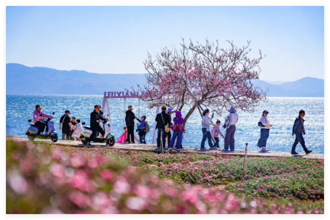 新体验、新场景、新活力……“五一”到澄江，看演唱会、过立夏节、逛博物馆，赏湖光山色，品地道美食！