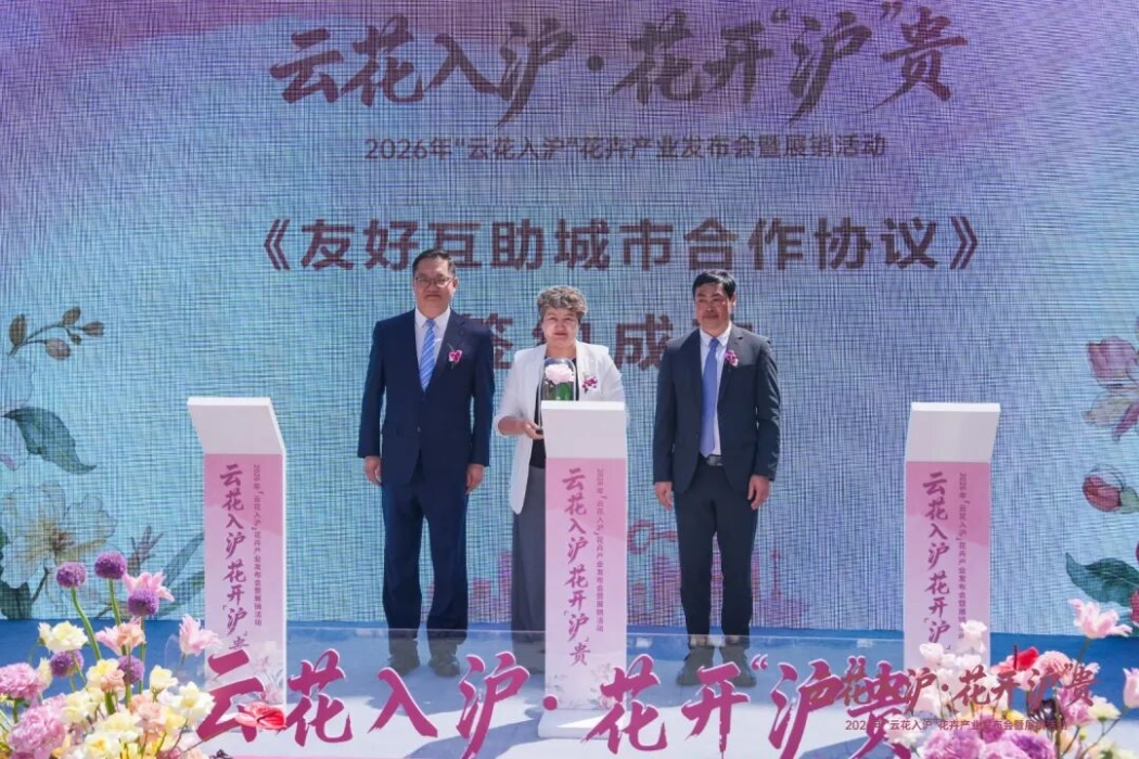 “娇龙”月季在上海架起滇疆协作新征程