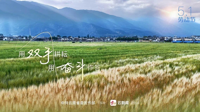 5 • 1公益海报｜用双手耕耘 用奋斗作答