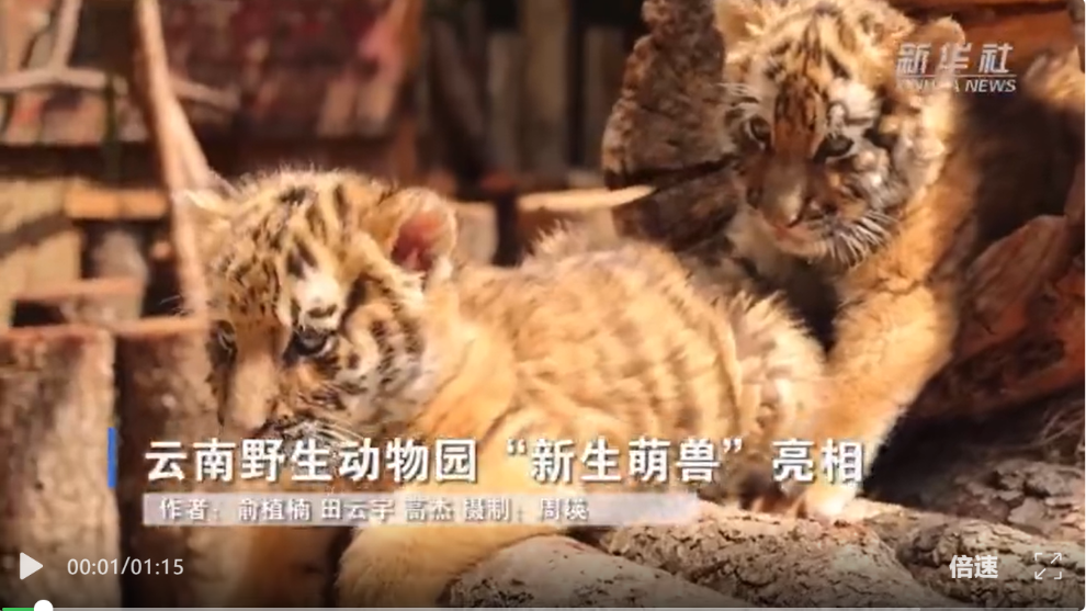 截图20260501173925 截图20260501173925
