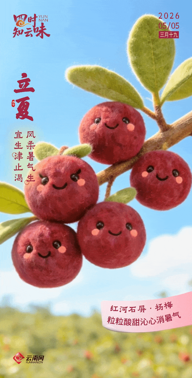杨梅吐气，一口入夏！