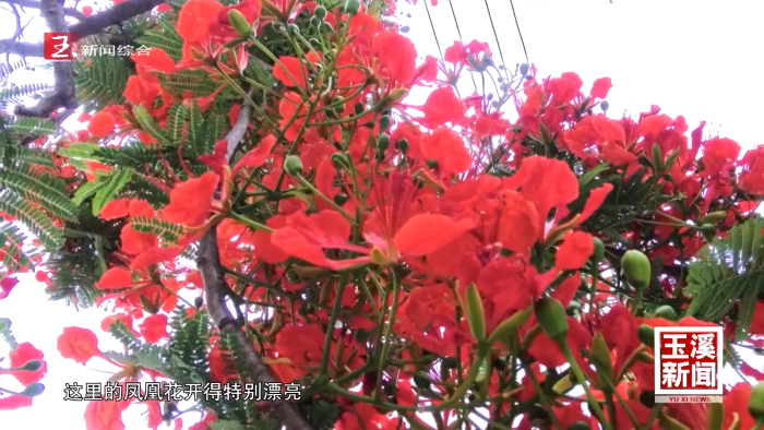 业态丰富体验焕新 五一假期玉溪市文旅活动精彩纷呈