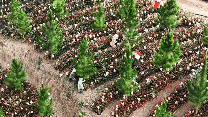 105012026051100002985.gif