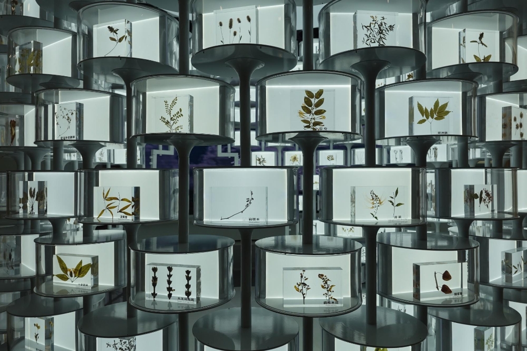 “十五五”开局·创新看点丨AI赋能，云南生物医药产业正“智变升级”