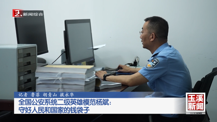 全国公安系统二级英雄模范杨斌：守好人民和国家的钱袋子