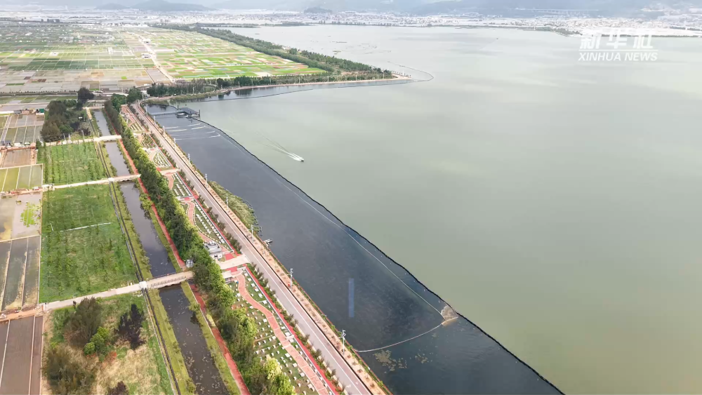云南通海：多措并举护生态 杞麓湖焕发新生