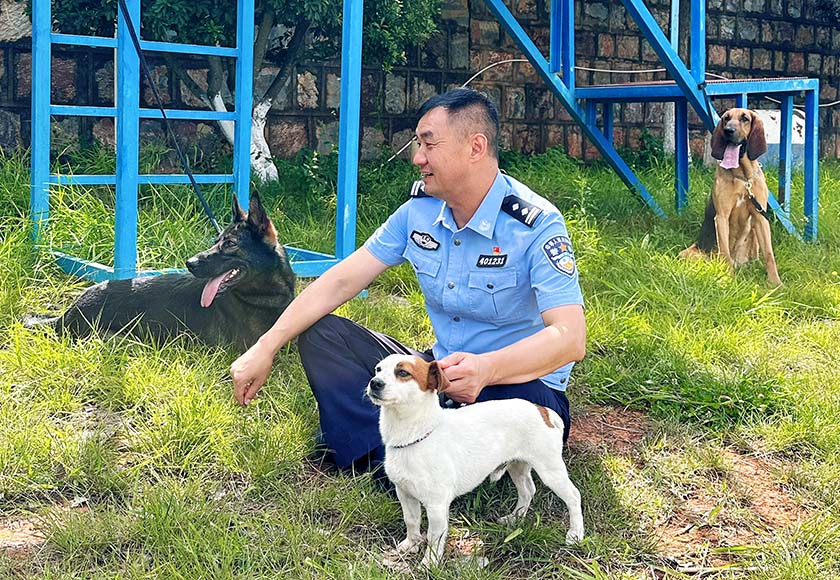二十四载相伴“无言战友” 初心如磐守护一方平安——记玉溪市公安局警犬训导员李素苇