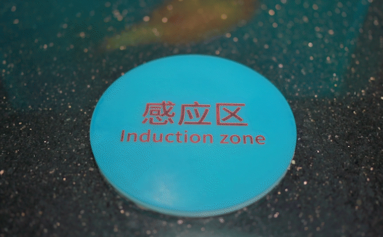 文化和自然遗产日｜世界青年在云南，读懂万物共生的密码