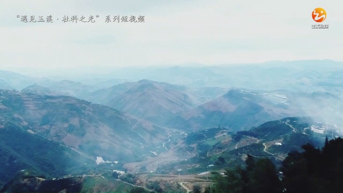 笙声不息