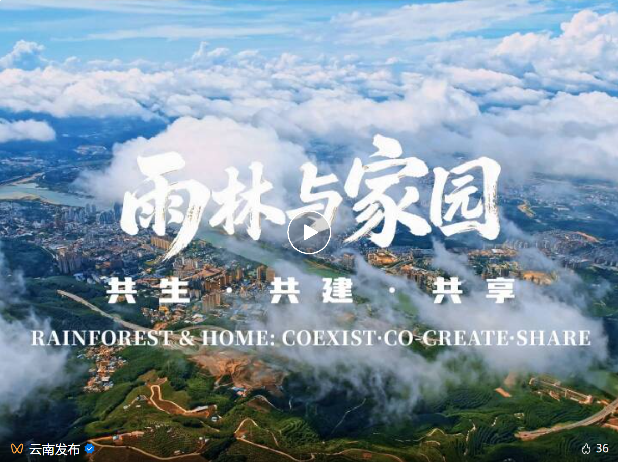 这场高规格国际活动，为何落地西双版纳？