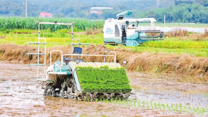 云南省首个水稻智慧农场在西双版纳建成