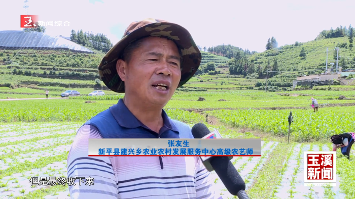 榜样的力量丨张友生：当好群众身边的“土专家”