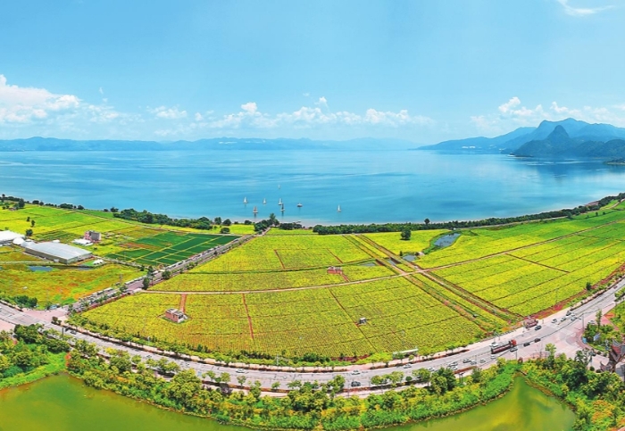 澄江：厚植生态底色 做强文旅产业