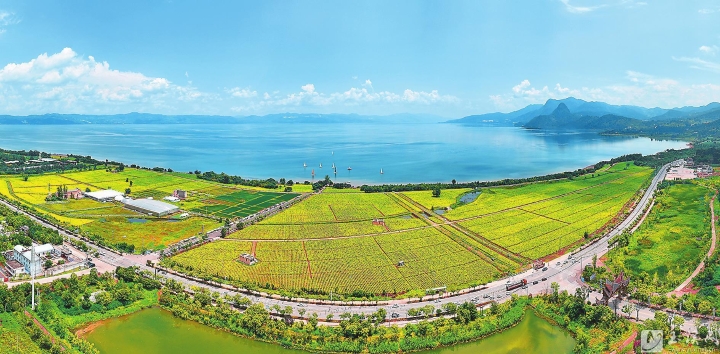暑期惠民让利举措激活玉溪市文旅消费市场