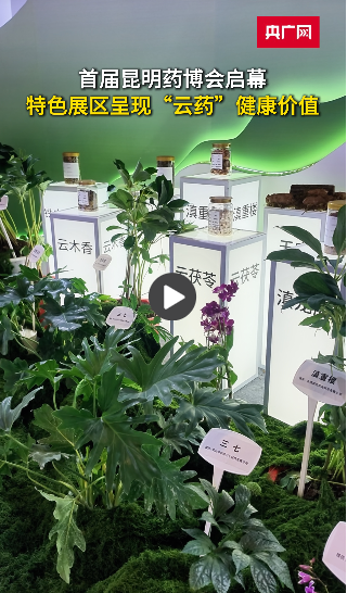 从一粒种子到一味好药 云南中药材产业加速向全产业链延伸