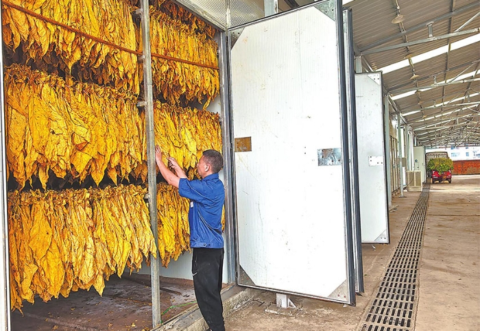 电烤房助力烟农增收